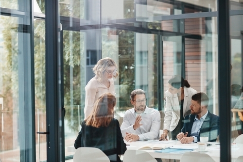Group of professionals working